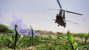 Operation Herrick: The Patient Pathway